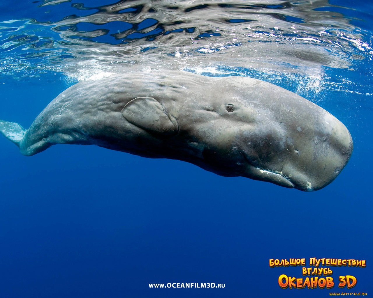 oceanworld, 3d, , 
